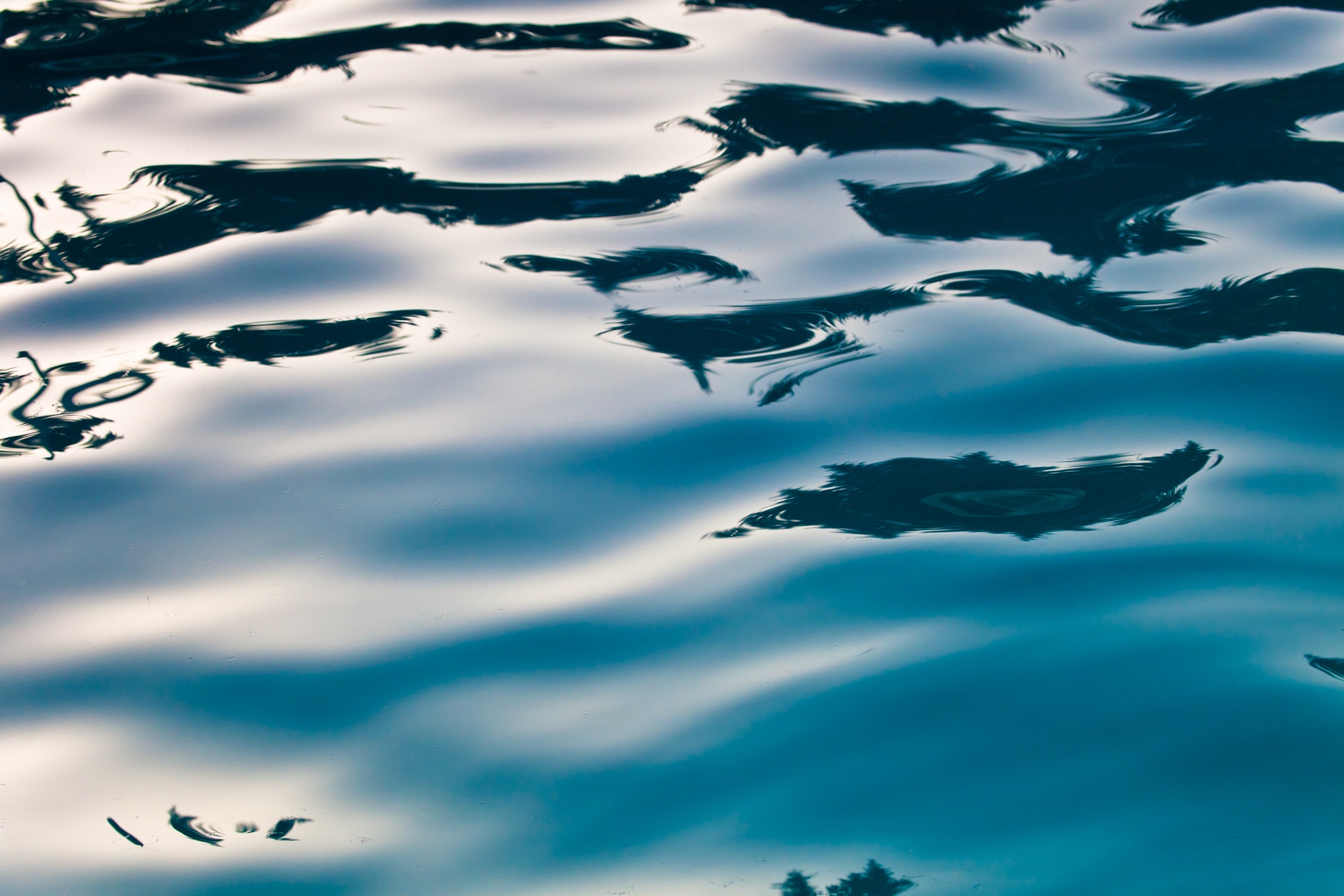 Water and reflections